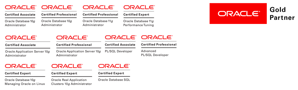 Oracle partners